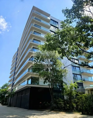 Saraesa Mamaia  Teatrul de vara - imagine 3