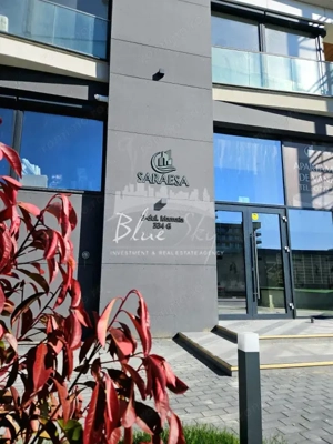 Saraesa Mamaia  Teatrul de vara - imagine 18