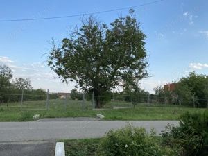 Vând teren intravilan în localitatea Alios, comuna Masloc, județul Timiș