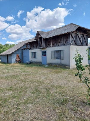Vand casa cu livada in satul Ionesti Arges - imagine 4