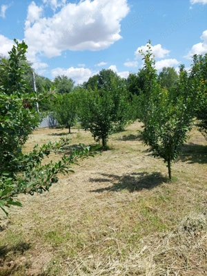 Vand casa cu livada in satul Ionesti Arges - imagine 8