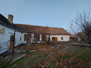 Vand casa 4 camere in Pecica jud. Arad - imagine 2