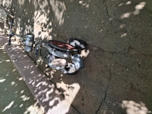 suflanta frunze - imagine 3