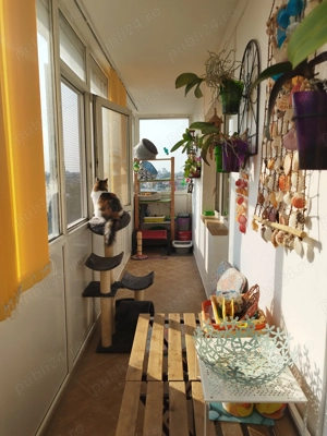 Apartament 4 camere, 91m utili, zona Castor - imagine 9