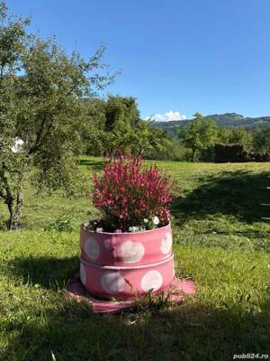 Hanul River Song Inn- Maramureș - imagine 4