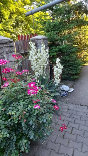 Pensiune de vanzare - imagine 5