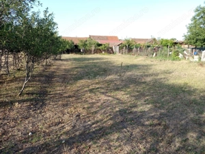 Berliste, Casa 6 Incaperi, 1129mp Teren, Pret Negociabil - imagine 7