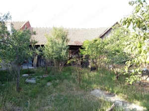 Berliste, Casa 6 Incaperi, 1129mp Teren, Pret Negociabil - imagine 14