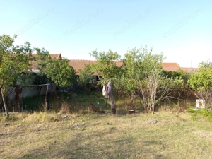 Berliste, Casa 6 Incaperi, 1129mp Teren, Pret Negociabil - imagine 15