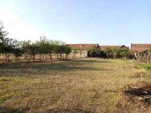 Berliste, Casa 6 Incaperi, 1129mp Teren, Pret Negociabil - imagine 8