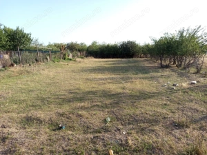 Berliste, Casa 6 Incaperi, 1129mp Teren, Pret Negociabil - imagine 6