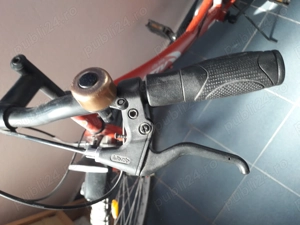 Vand Bicicleta dama adulti - imagine 4
