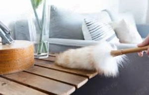 Curățenie la domiciliu 