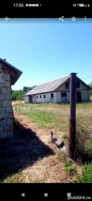 Fermă ( Maternitate porcină) Comuna Beliu, județul Arad - imagine 7