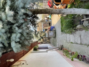 Vând casă bătrânească Semlacul Mic, com Gătaia 