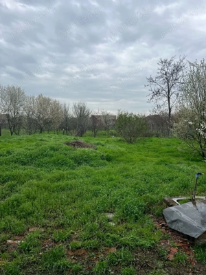 Vând casă intr-o zonă liniștită  - imagine 2