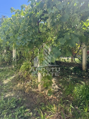 Casă unifamilială cu teren de 1504 mp - imagine 15