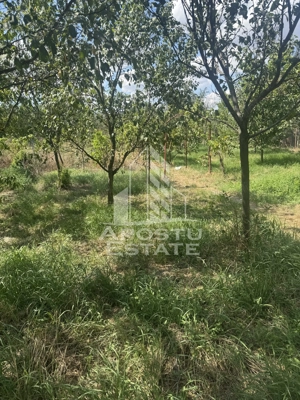 Casă unifamilială cu teren de 1504 mp - imagine 20