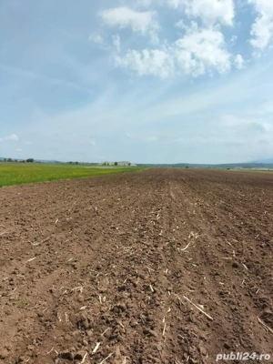 Teren extravilan arabil 