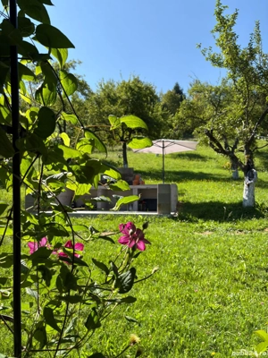 Hanul River Inn Song- Cazare - imagine 4 Hanul River Inn Song- Cazare - imagine 4