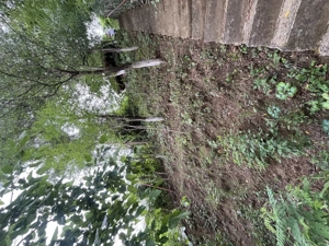 Teren intravilan situat în Blaj, str. Eftimie Murgu  - imagine 3