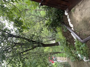 Teren intravilan situat în Blaj, str. Eftimie Murgu  - imagine 7