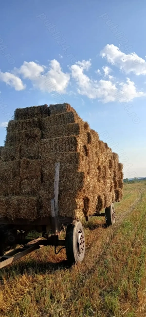 Vând baloti de paie 