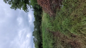 Casă +teren intravilan  - imagine 2