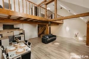 Apartament 2-3 persoane  - imagine 2