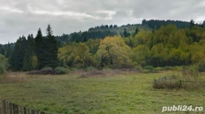 Teren de vanzare Toplita