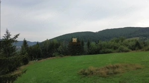 Teren 5023 mp  In Bucovina Zona Manastirea Voronet De Vanzare 0727817187 - imagine 15 Teren 5023 mp  In Bucovina Zona Manastirea Voronet De Vanzare 0727817187 - imagine 15