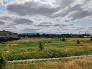 Teren intravilan Bacău, super pret!