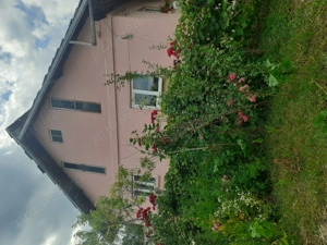 Vand casă și teren in orașul Horezu 