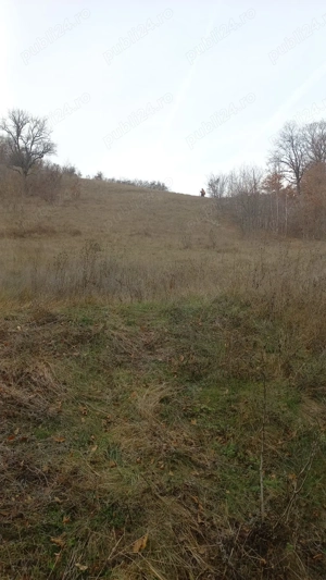 Vand teren extravilan MEHADIA 2 Euro  MP