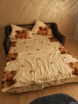 Garsoniera Regim Hotelier 100 Ron Noapte - imagine 4