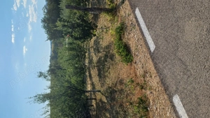 Teren pentru casă și livadă  - imagine 5