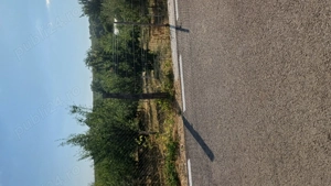 Teren pentru casă și livadă 