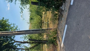 Teren pentru casă și livadă  - imagine 4