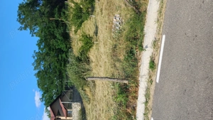 Teren pentru casă și livadă  - imagine 8