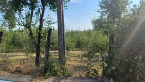 Teren pentru casă și livadă  - imagine 7