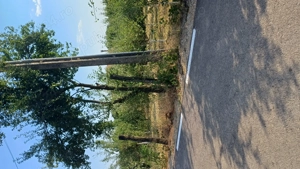 Teren pentru casă și livadă  - imagine 6