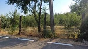 Teren pentru casă și livadă  - imagine 10