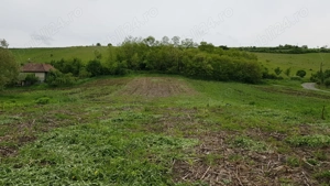 Vând 1200m teren intravilan și 1700m teren extravilan în Comuna Căianu, jud. Cluj - imagine 6