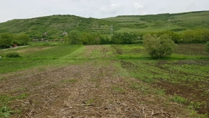 Vând 1200m teren intravilan și 1700m teren extravilan în Comuna Căianu, jud. Cluj - imagine 7