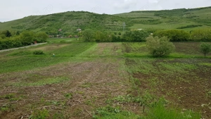 Vând 1200m teren intravilan și 1700m teren extravilan în Comuna Căianu, jud. Cluj - imagine 8