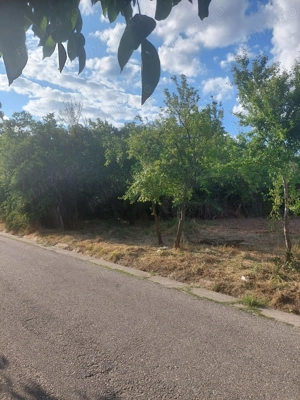 Vand 2 loturi de teren in comuna Budesti, sat Piscu Pietrei - imagine 3