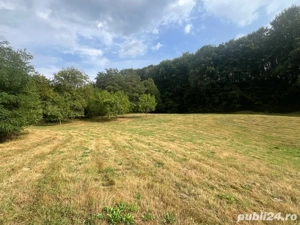 Teren extravilan Arges - imagine 4
