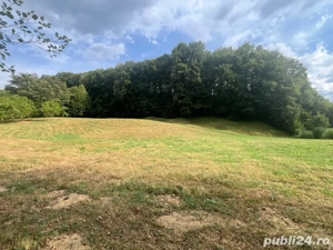 Teren extravilan Arges - imagine 3