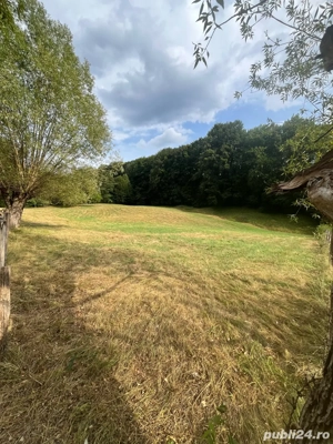 Teren extravilan Arges - imagine 5