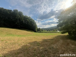 Teren extravilan Arges